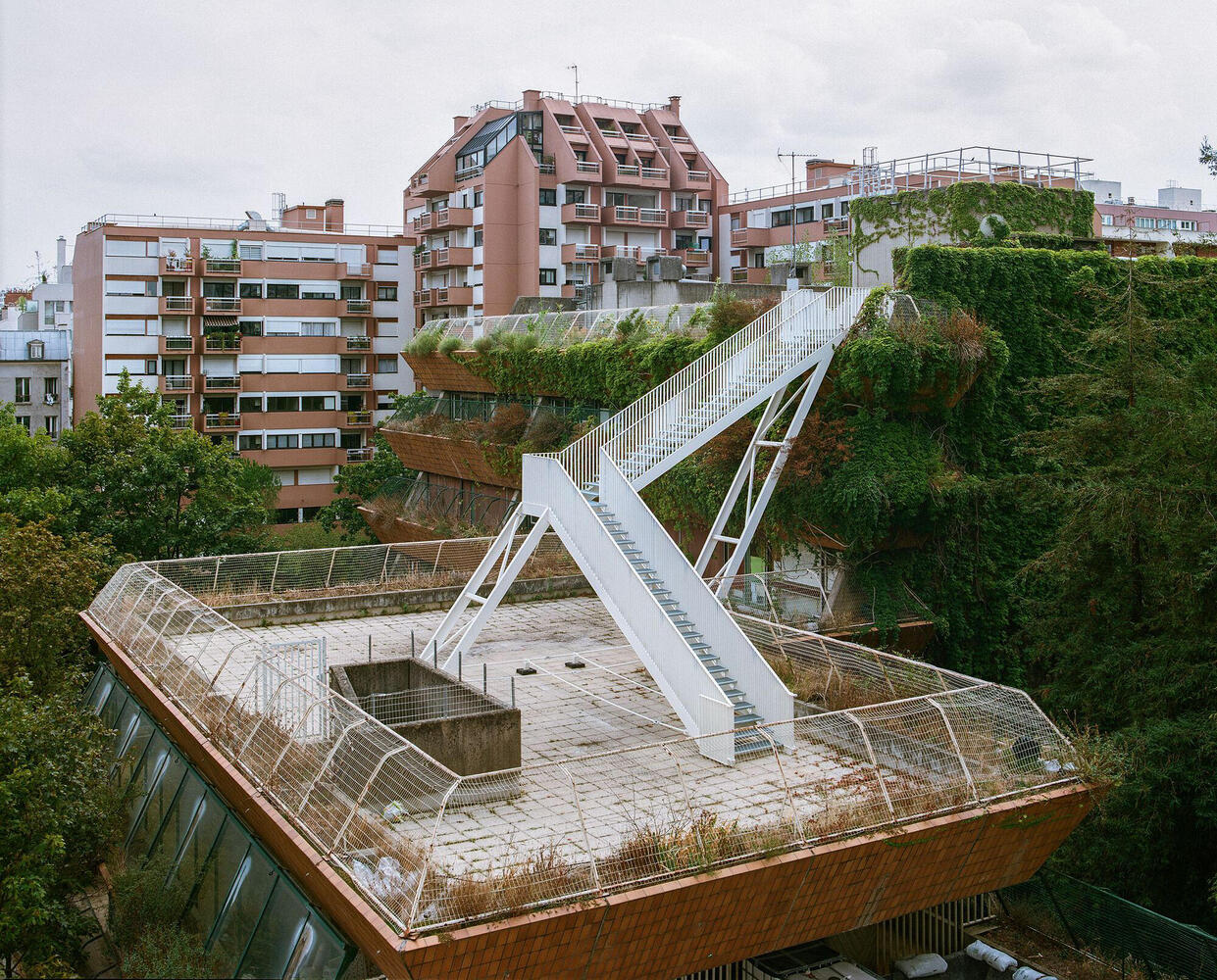 Urban Rewilding in Europe The Fight Is on to Retake Green Space - 14068