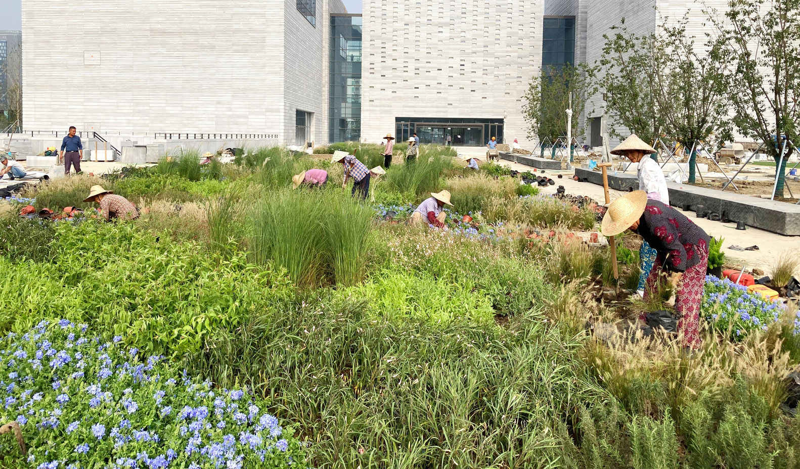 lion mountain park tls landscape architecture - 24998