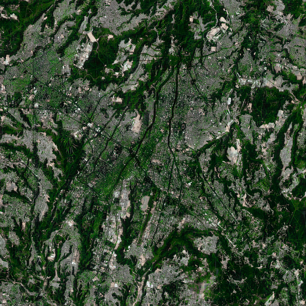 The City as an Organism - 5589