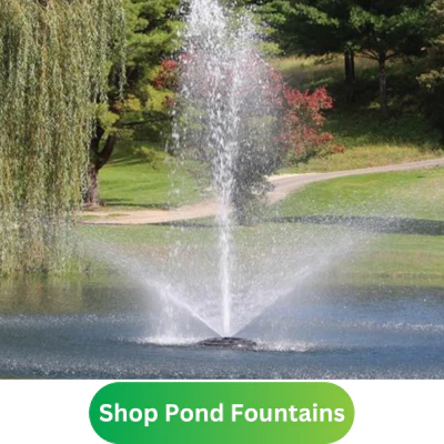 how to build a koi pond diy guide part one - 17727