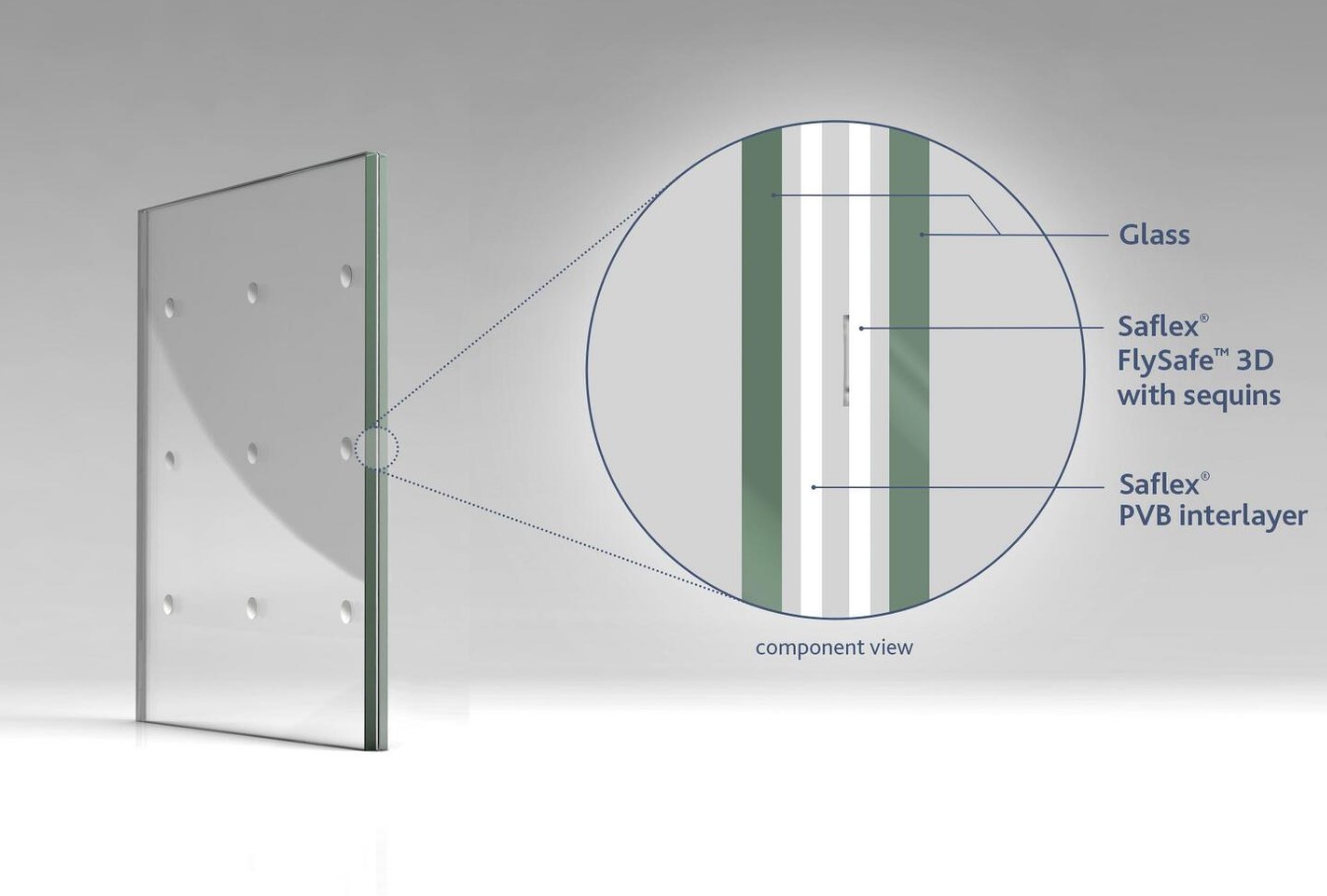 Making Buildings Bird Friendly with Safety Glass - 5428