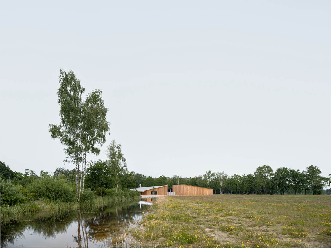 What is Peatland A Powerful Carbon Store and Ecosystem - 14423