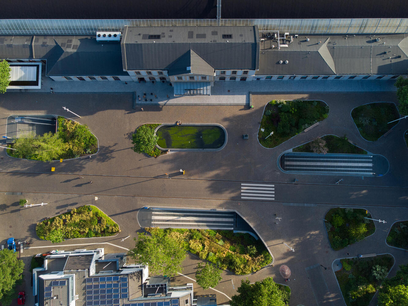 Urban Rewilding in Europe The Fight Is on to Retake Green Space - 14071