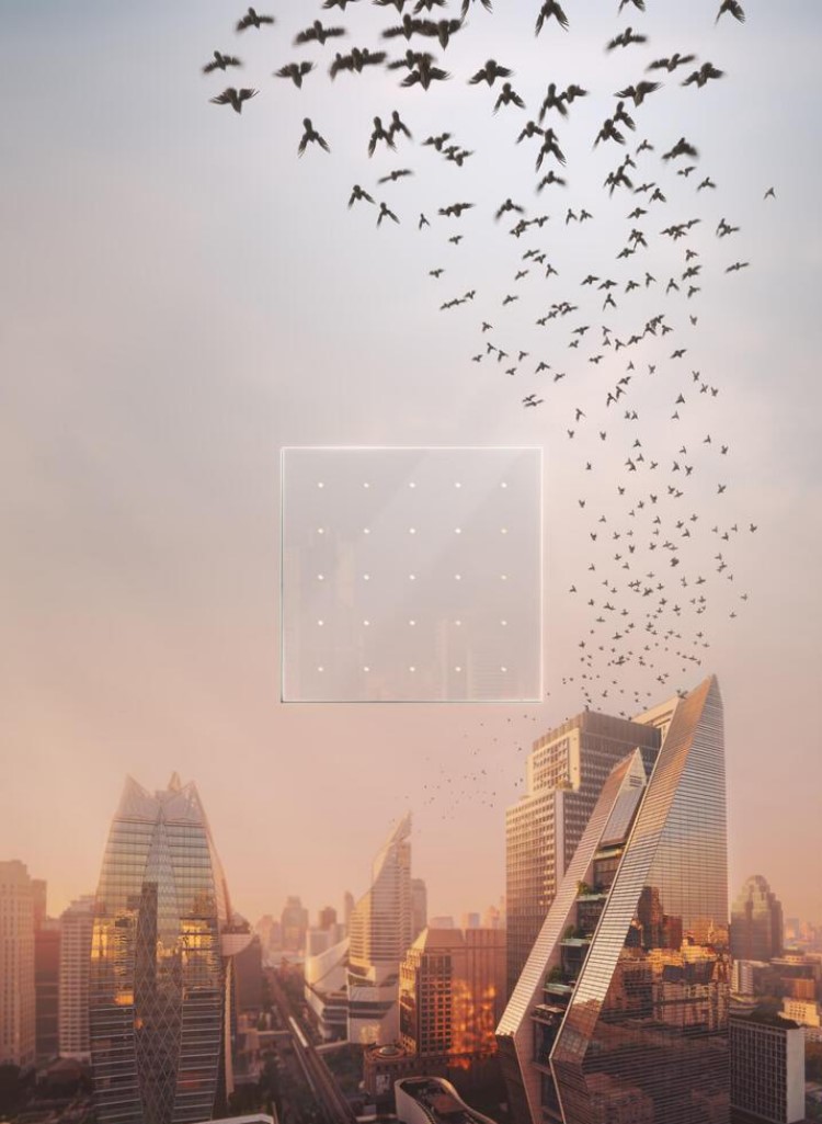 Making Buildings Bird Friendly with Safety Glass - 5424