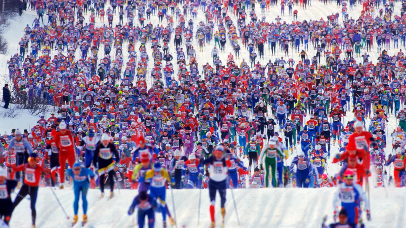 امسال صدمین مسابقه اسکی صحرانوردی معروف واسالوپت سوئد برگزار می شود 