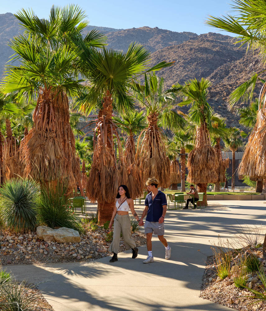 Urban Parks Should Be a Greater Part of the Healthcare System - 14157