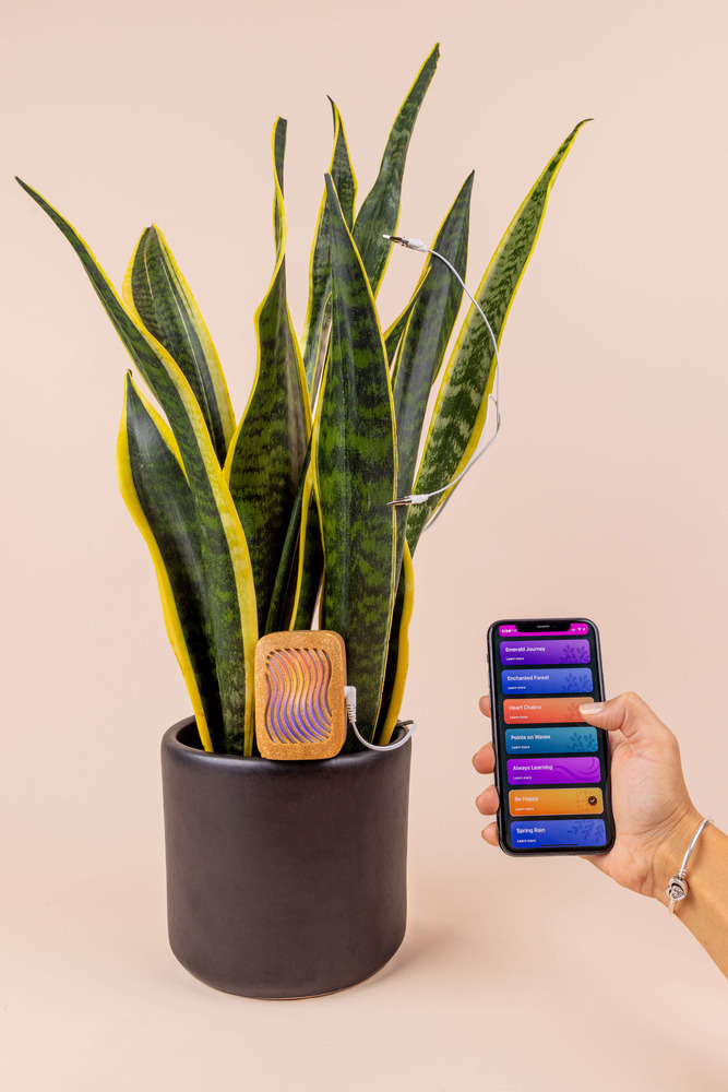 Converting Plant Biorhythms into Real Time Music for Indoor Environments - 12101