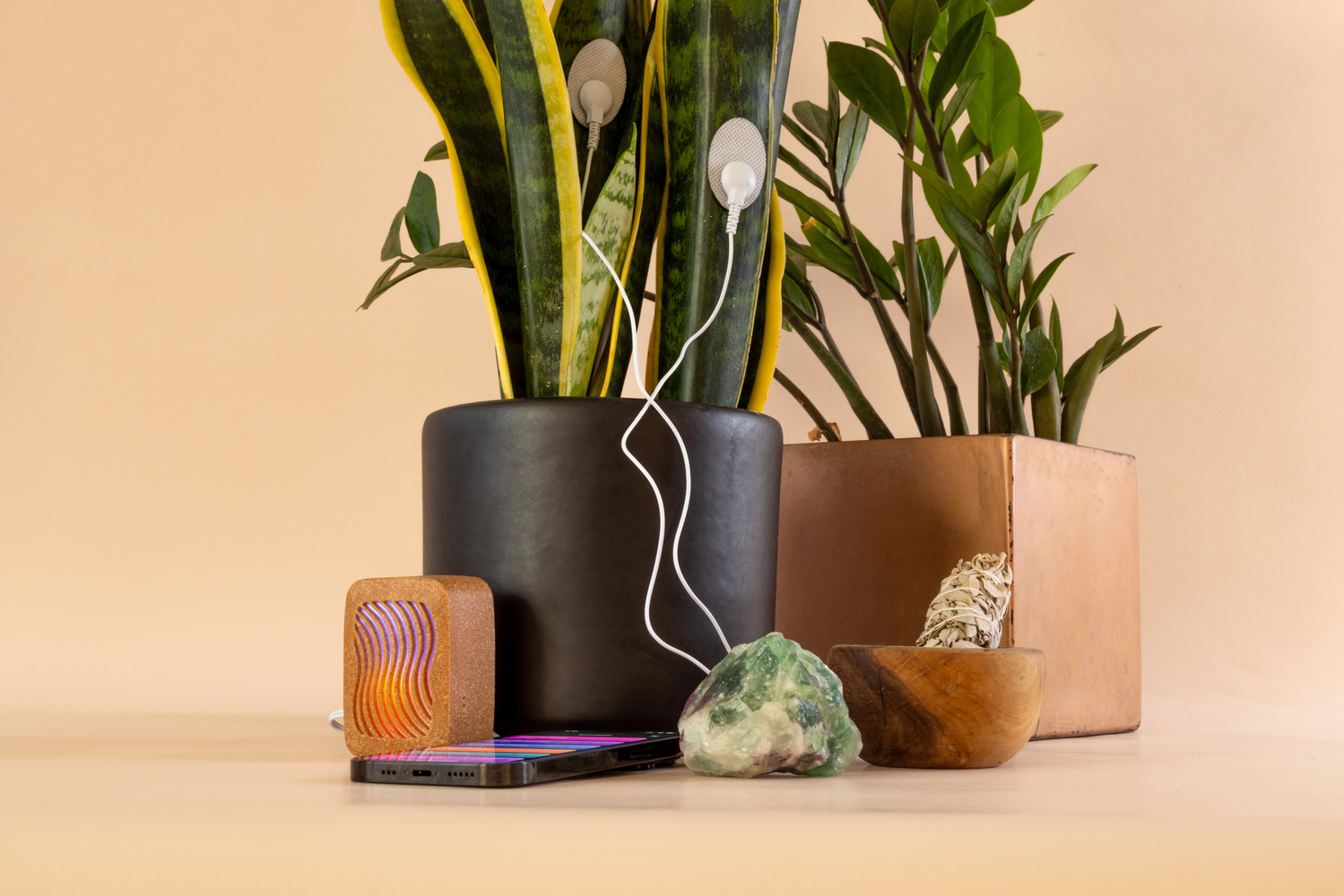 Converting Plant Biorhythms into Real Time Music for Indoor Environments - 12093