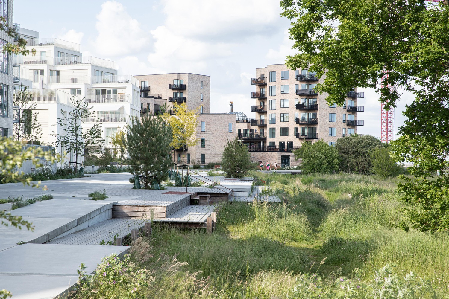 6 Successful City Park Projects That Are Hotspots for Biodiversity - 14132