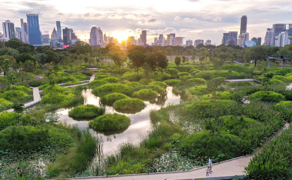 6 پروژه موفق پارک شهری که نقطه عطف تنوع زیستی هستند