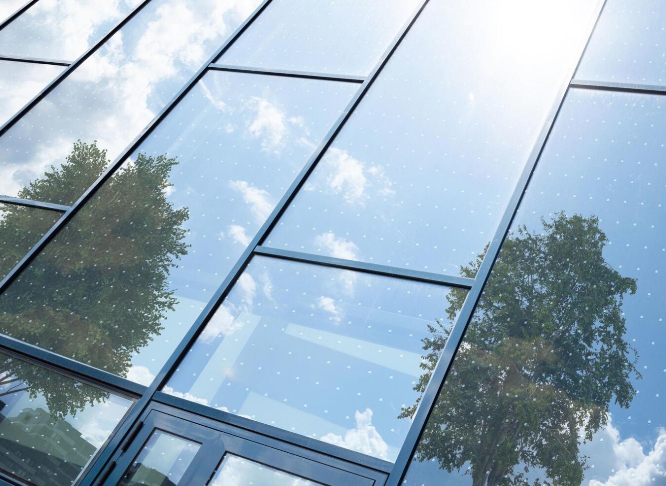 Making Buildings Bird Friendly with Safety Glass - 5422