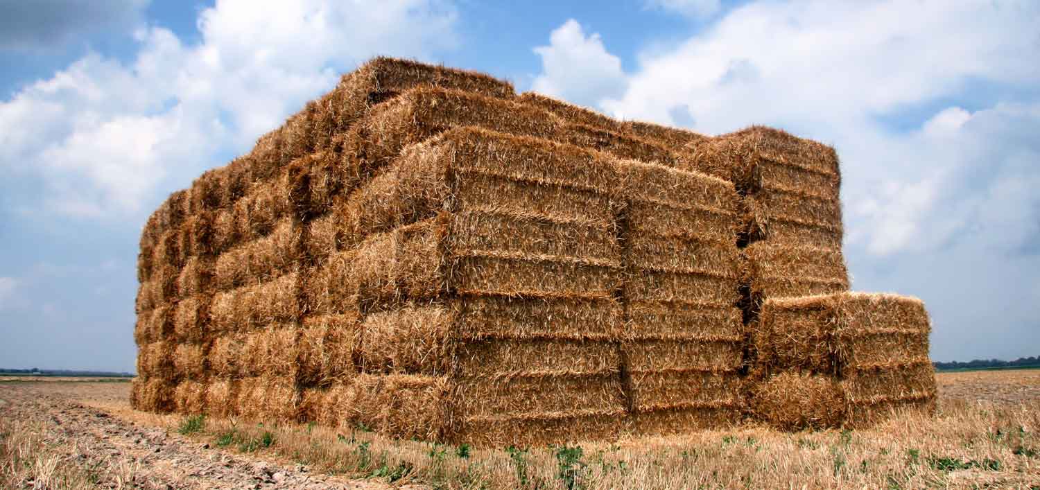best eco friendly construction materials - 2067