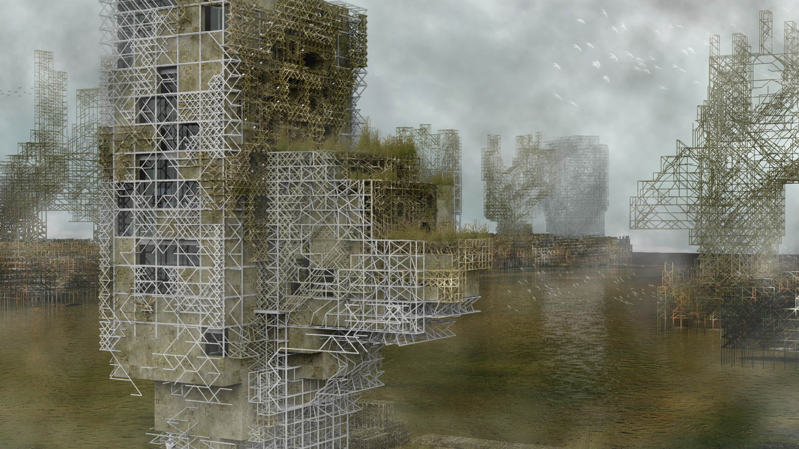 The City as an Organism - 5593