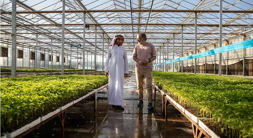 نئوم با شرکت ون در هوون برای ایجاد باغ‌های شکوفا در میان بیابان‌های خشک عربستان سعودی همکاری می‌کند