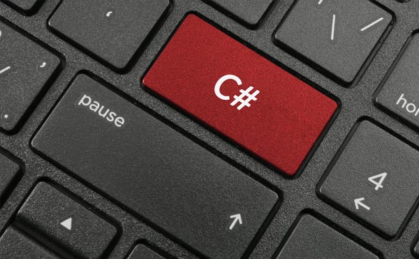 PROGRAMMING LANGUAGES FOR CIVIL AND STRUCTURAL ENGINEERS - 8954