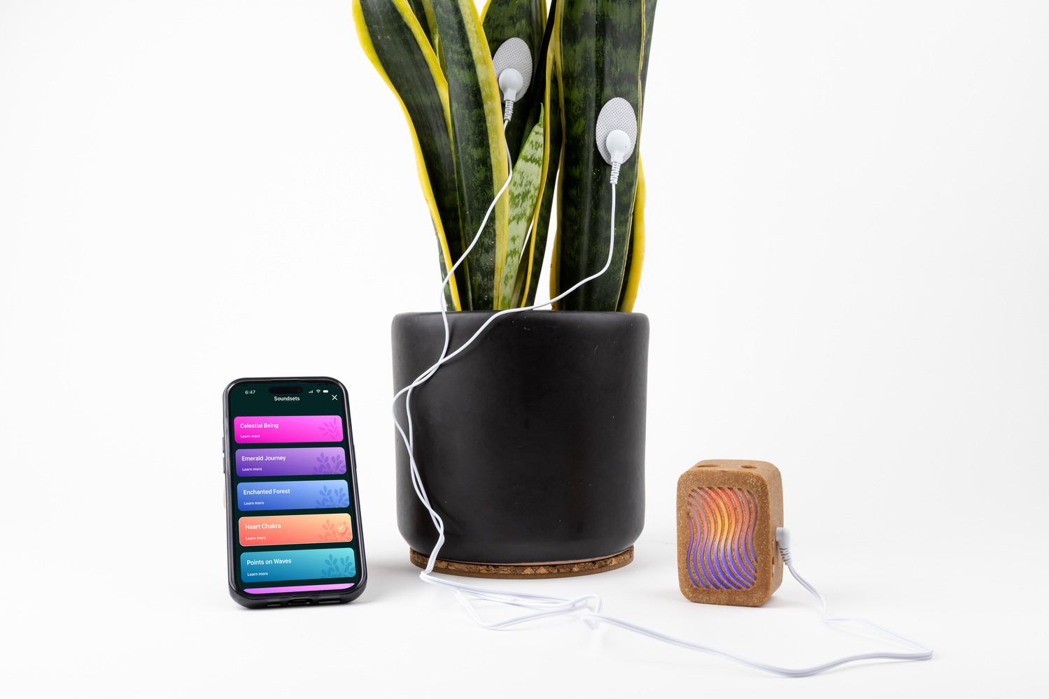 Converting Plant Biorhythms into Real Time Music for Indoor Environments - 12099