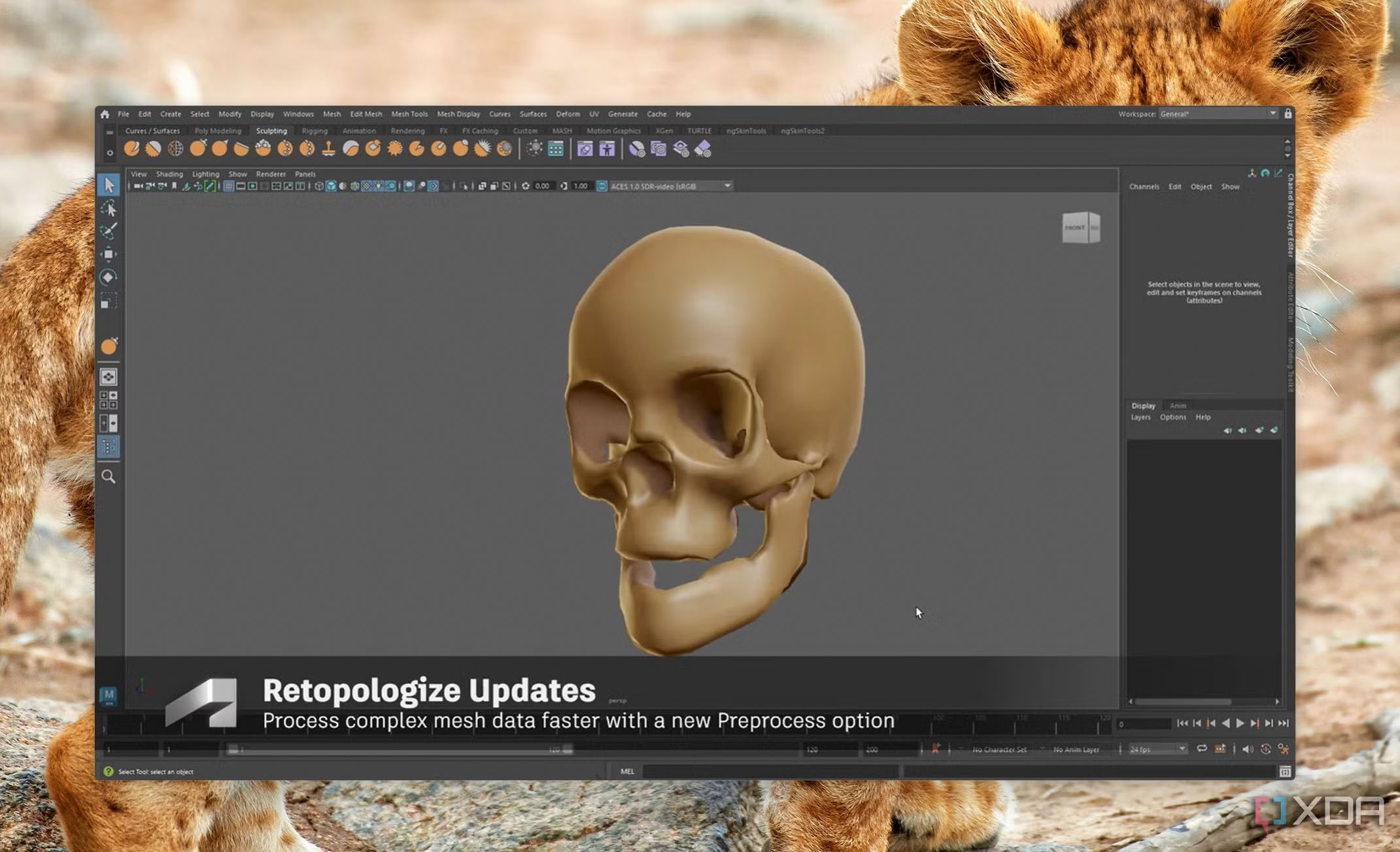 نرم‌افزار حرفه‌ای  ابزار Sculpt, Smooth, Grab, Pinch  انیمیشن و رندرینگ  ویرایش اهداف شکل (Shape Editor)  قیمت بالا