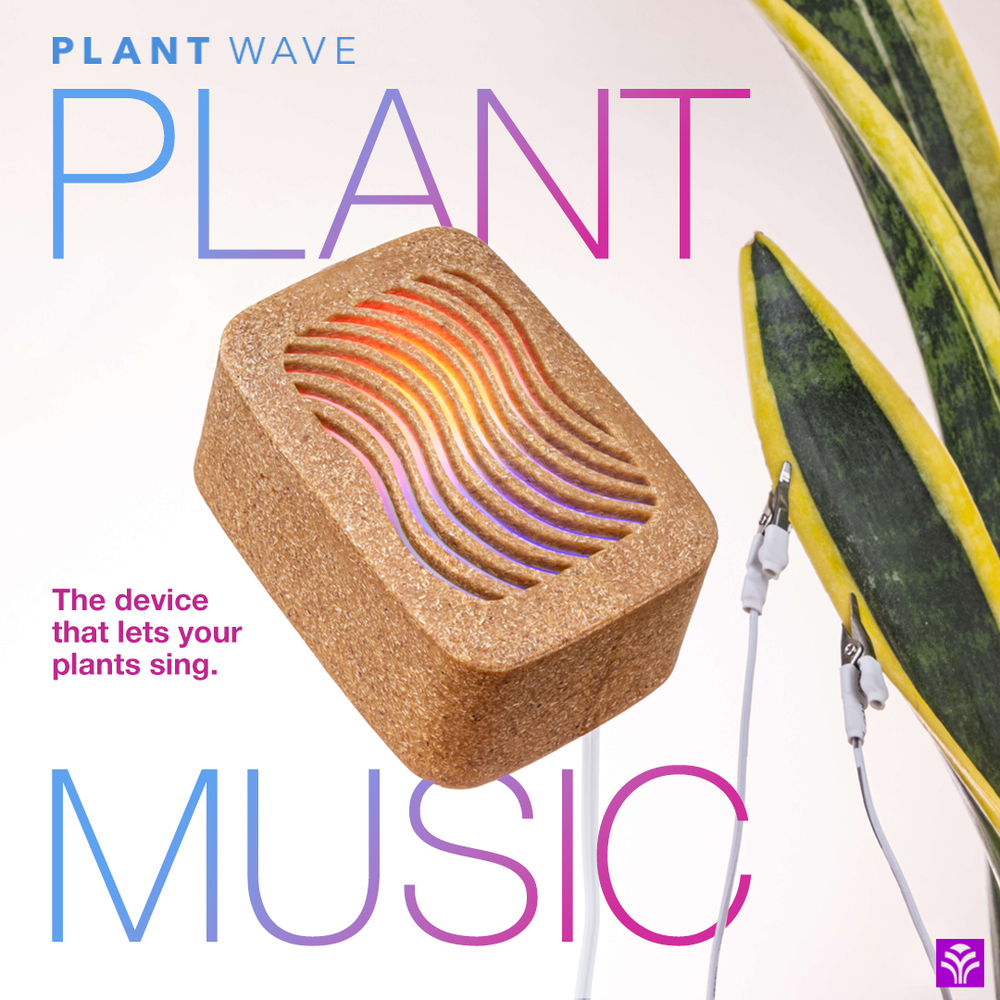 Converting Plant Biorhythms into Real Time Music for Indoor Environments - 12090