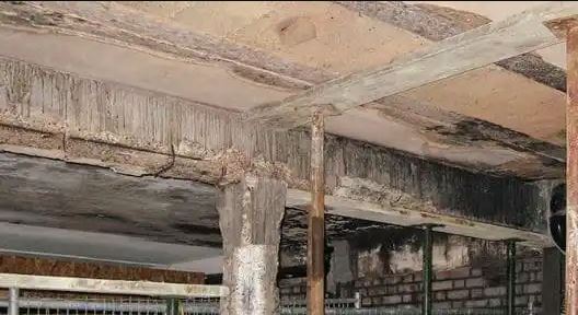 Fire Damage Mechanism of RC Structure and Assessment Method - 5462