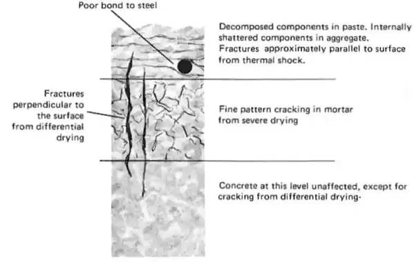 Fire Damage Mechanism of RC Structure and Assessment Method - 5545