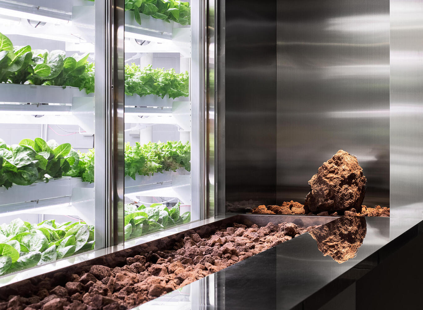 How to Use Vertical Farming for Sustainable Living - 14215