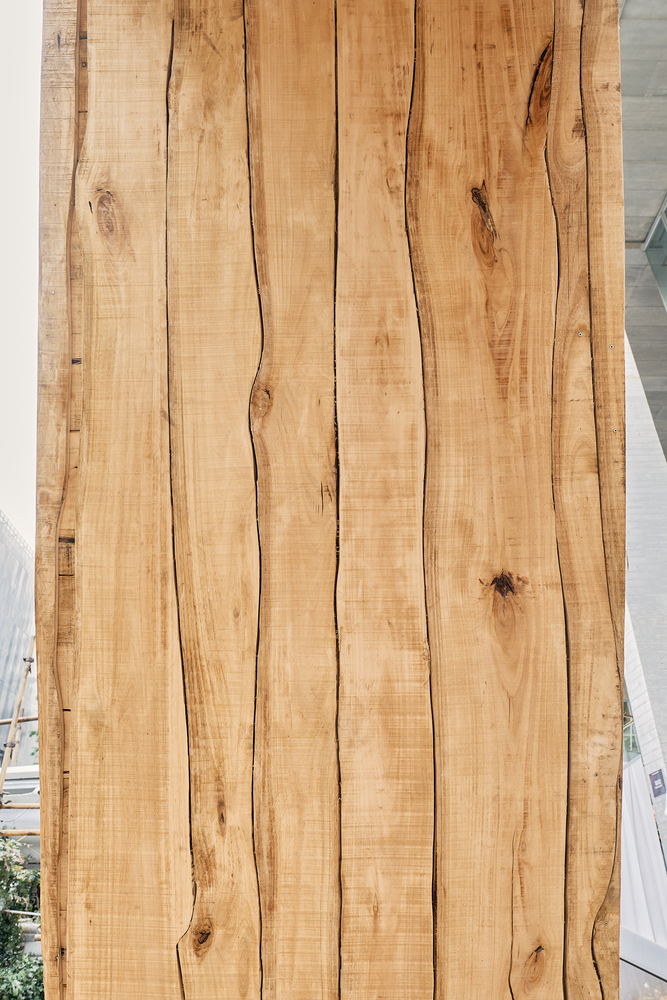 Minimizing Wood Waste by Respecting Its Natural Form Through AI - 14127