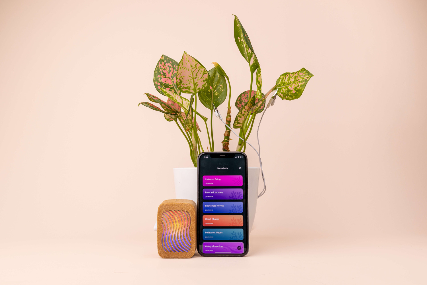 Converting Plant Biorhythms into Real Time Music for Indoor Environments - 12097
