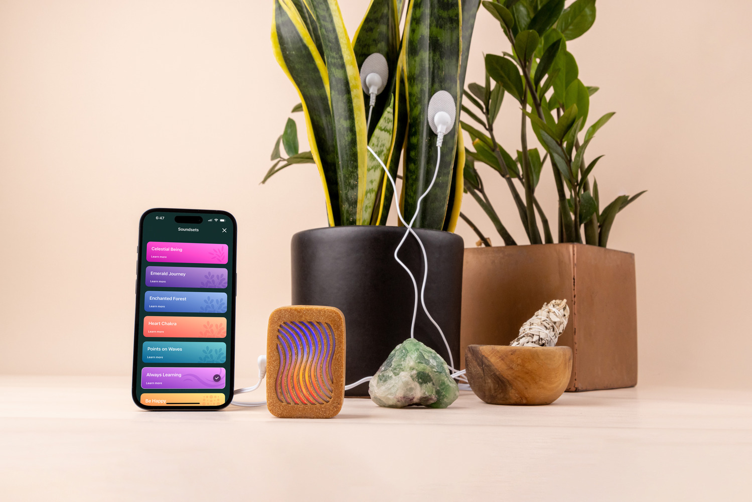 Converting Plant Biorhythms into Real Time Music for Indoor Environments - 12094