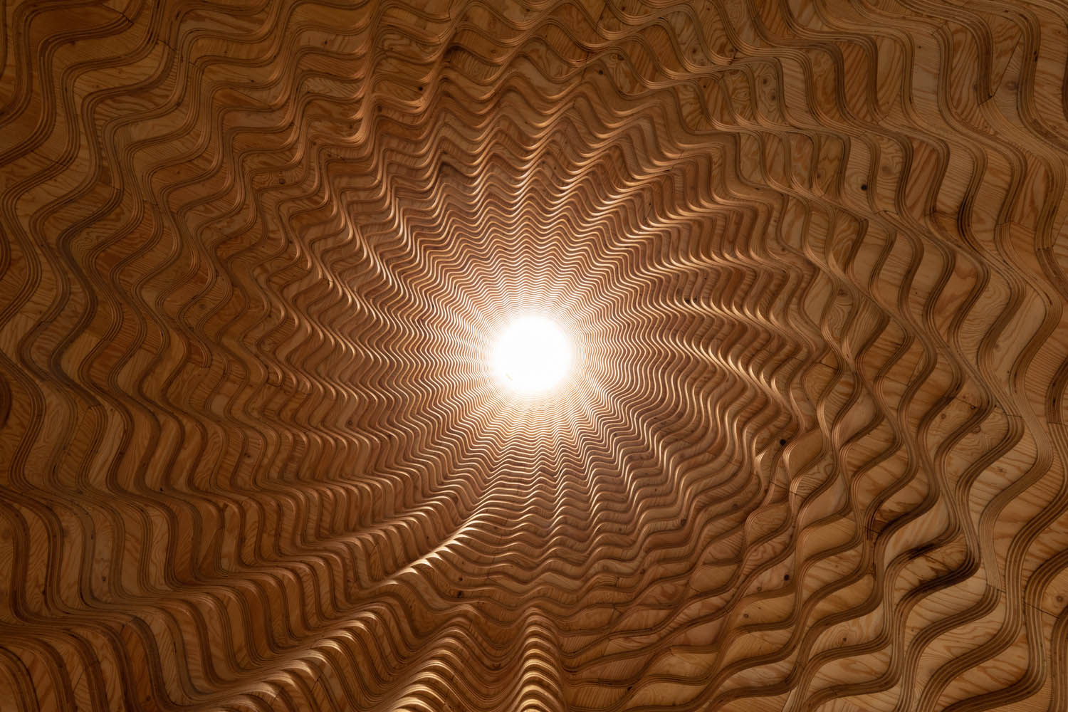 Disruptive Materials and Finishes for Future Home Interiors - 13263