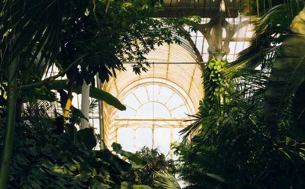 هویت پیچیده و اهمیت فرهنگی گلخانه ها The Cultural Significance of Greenhouses A Complicated Identity
